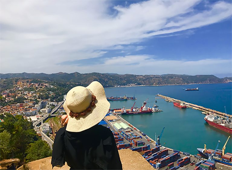 Journée de Réflexion à Skikda:  « Vers une Solution à la Pollution Marine »