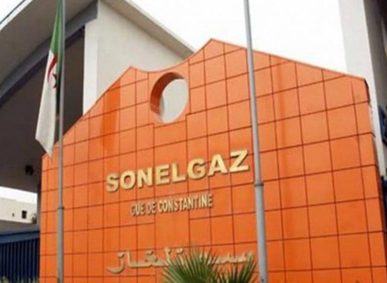 Skikda/Sonelgaz : Installation du directeur de la distribution