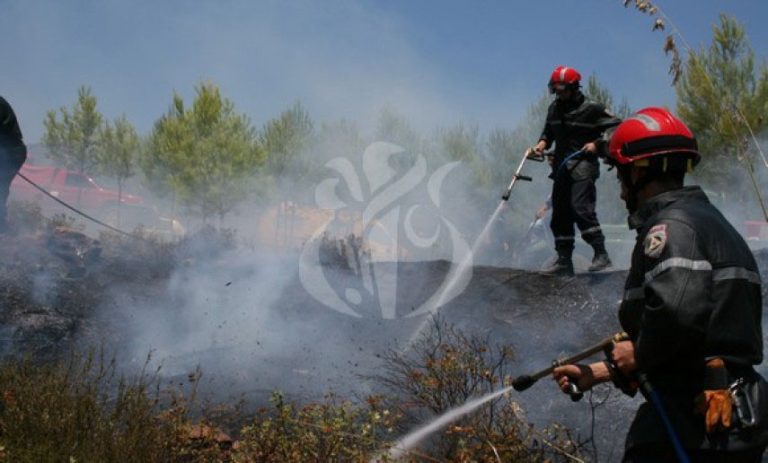 Préparatifs renforcés en Algérie pour la saison des feux de forêt 2024 à Skikda