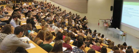 Enseignement supérieur :Lancement d&rsquo;une plateforme numérique pour aider les nouveaux bacheliers à choisir leur cursus universitaire