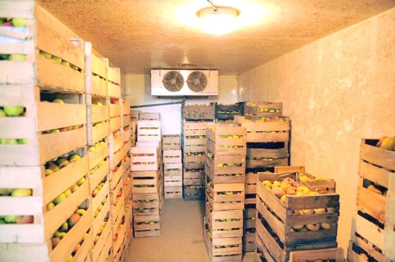 Tébessa :Mise en service d&rsquo;une chambre froide de stockage des produits agricoles à Chréa