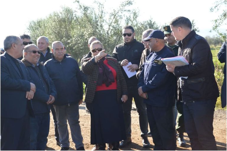 Guelma/ Réhabilitation de l’aérodrome de Belkheir Pour assurer efficacement l’intervention aérienne de lutte contre les incendies