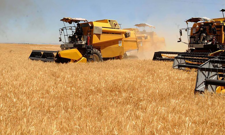 Chambre d’Agriculture de la wilaya d’Annaba:Vers une agriculture moderne et inclusive