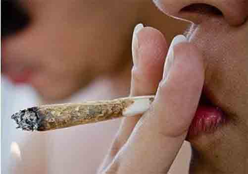 Trafic de stups pendant le ramadan :6 personnes écrouées à Mila