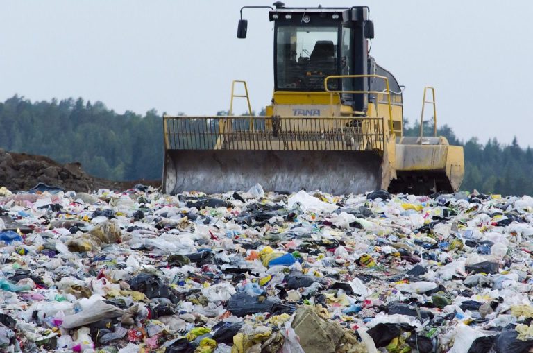 Valorisation des déchetsL’Algérie ne recycle que 10 % de ses ordures