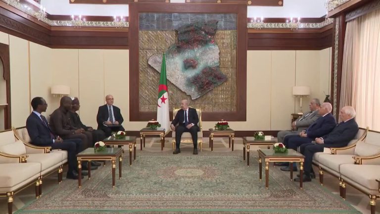 L’Algérie et le G4 africain:Une nouvelle vision pour l&rsquo;Afrique