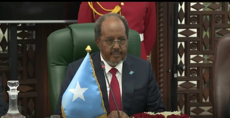 Le président somalien salue le rôle de l&rsquo;Algérie dans la promotion de la paix, de la justice et de la solidarité africaine