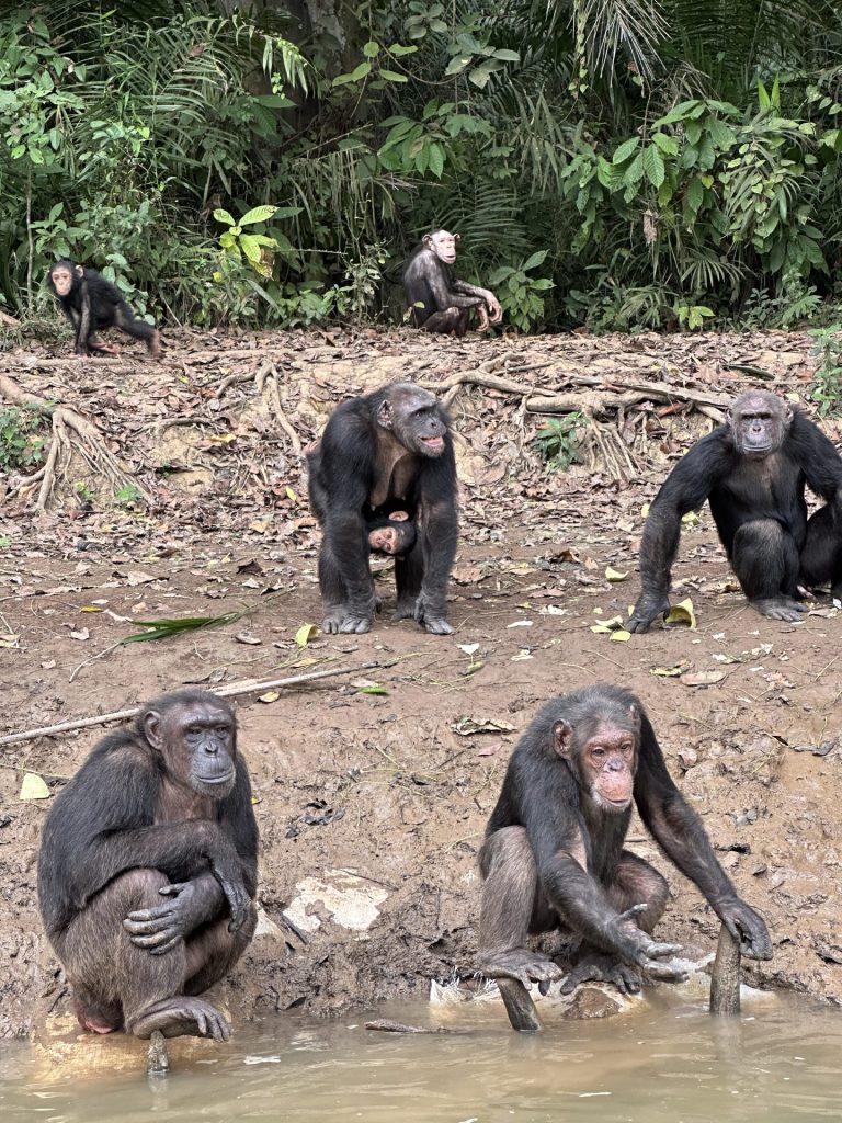 Maroc-Le prix de la normalisation:Quand le mépris israélien réduit le Maroc au rang de vassal africain